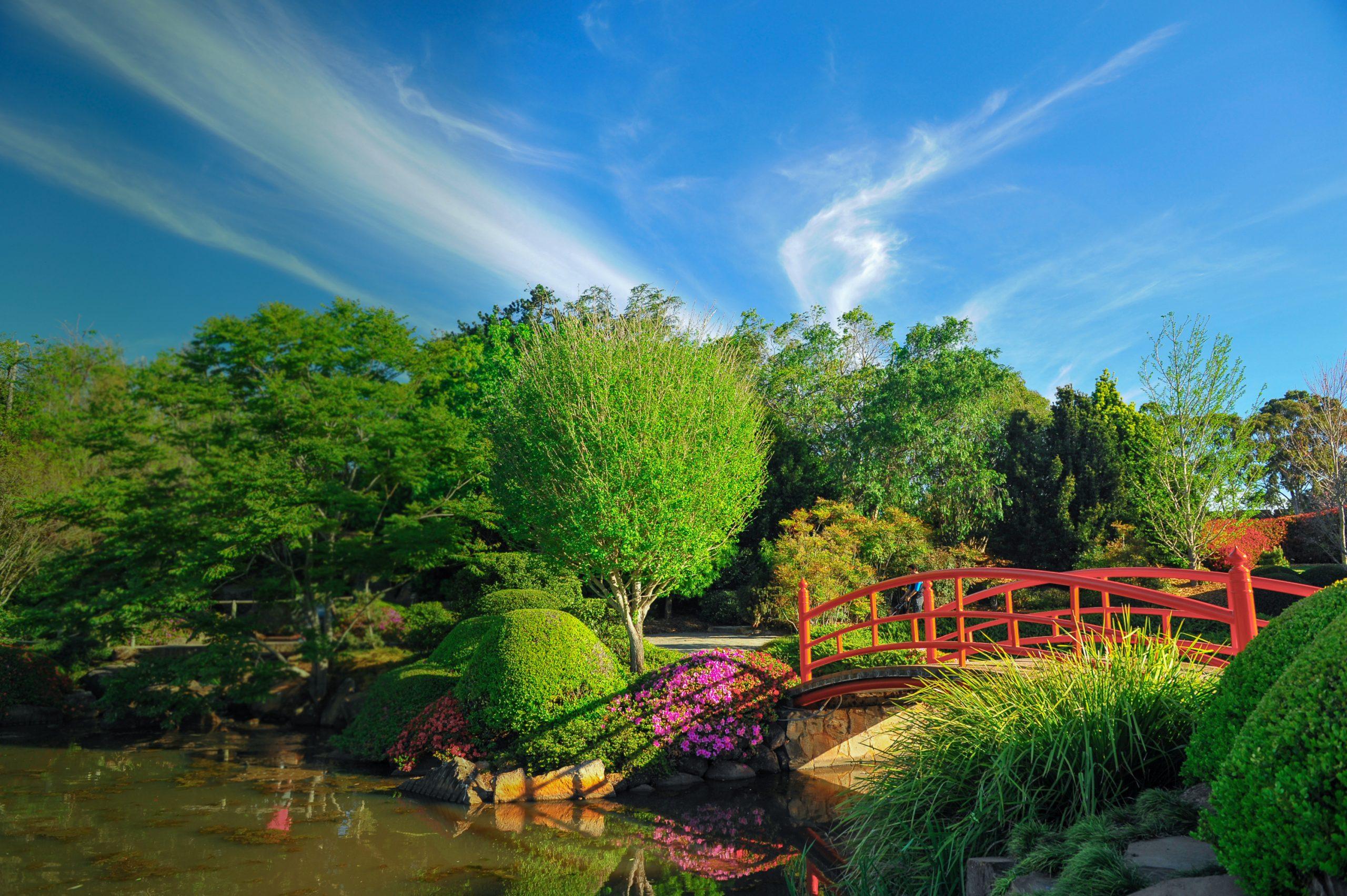 Red wooden bridge arcs over a pond in a serene garden setting, surrounded by lush greenery, colorful flowering plants, and bright blue sky with wispy clouds.