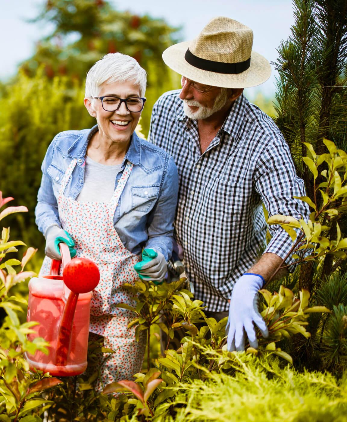 myrtle_geln_stanhope_gardens_carousel1_m