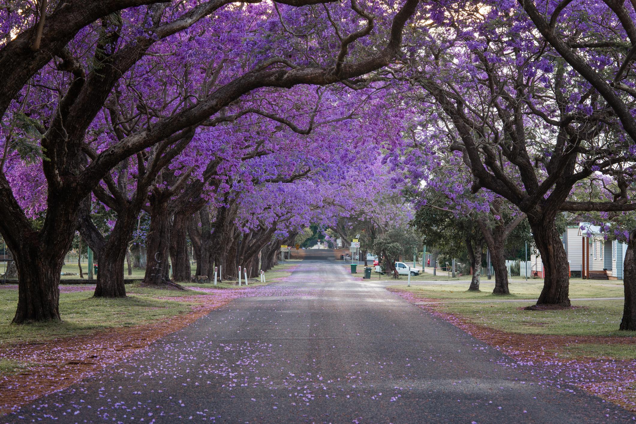 banner-image